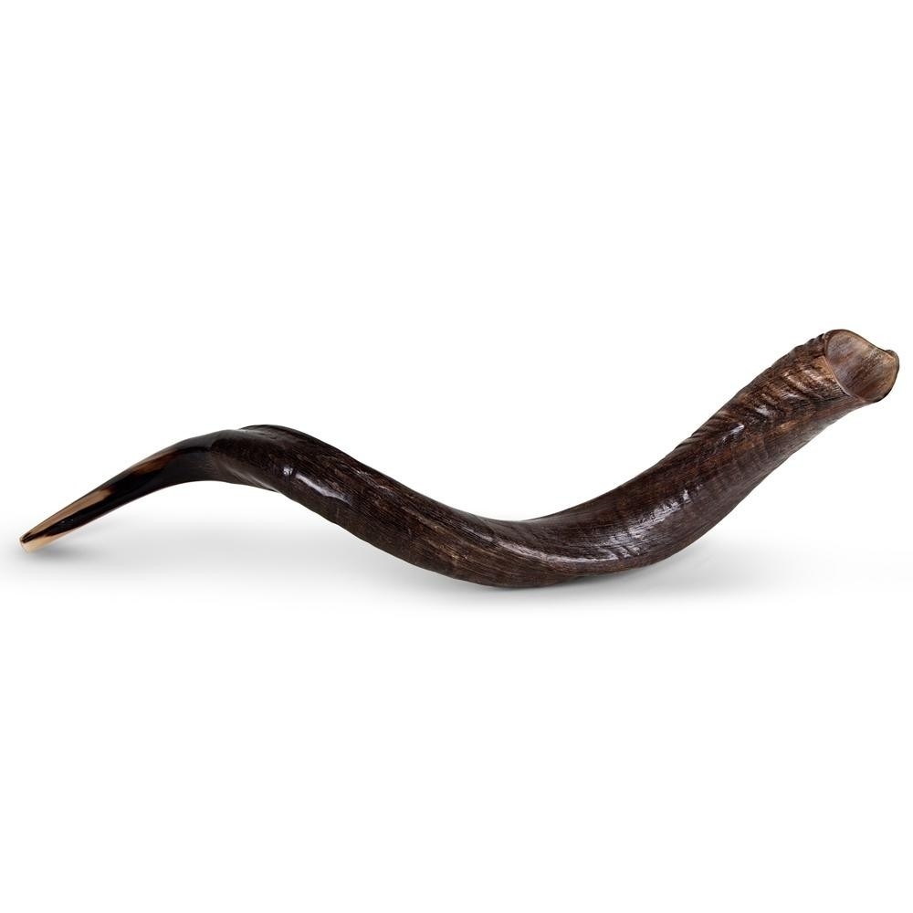 26"–28" Natural Yemenite Kudu Shofar main product photo