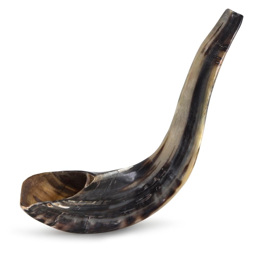 16"-18" Classic Ram's Horn Shofar - Polished main product photo