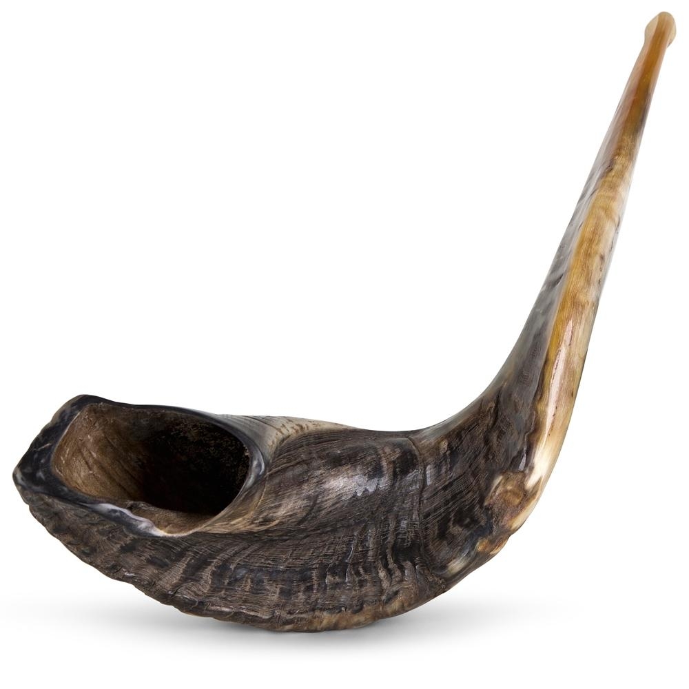 22"-24" Classical Ram's Horn Shofar - Natural - 1