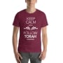 Keep Calm and Follow the Torah Unisex T-Shirt - Choice of Colors - 11
