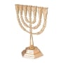 Seven Branched Temple Menorah (Choice of Color) - 4