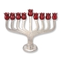 Hammered Aluminum Classic Hanukkah Menorah with Pomegranate Candleholders - 1