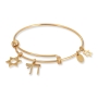 Adi 14K Gold-Plated Stainless Steel Chai and Star of David Bangle Bracelet  - 2