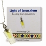 Ein Gedi Crystal Pendant Filled with Light of Jerusalem Anointing Oil - 1