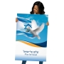 Pray for Israel with Dove of Peace Poster - 4