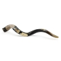 Hand Painted Kudu Shofar Horn with Old City of Jerusalem Landmarks in Black and Gold - 2
