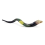 Hand Painted Kudu Shofar Horn with Four Species Design - 2
