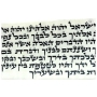 Pair of Kosher Ashkenazi Tefillin (Phylacteries) Dakkot – Peshutim Mehudarim - 5