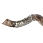 Barsheshet-Ribak Silver Plated Polished Kudu Horn Shofar with Grafted-In  - 2