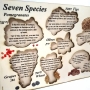 Seven Species: Interactive Educational Puzzle - 5