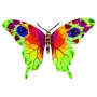 Vered Butterfly Double-Sided Wall Hanging by David Gerstein (Signed by Author) - 1