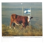 Views of Israel Compact Picture Wall Calendar 2019-20 - 3