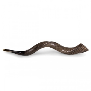 32"-34" Natural Yemenite Kudu Shofar