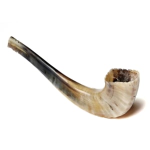 Barsheshet-Ribak Morrocan Shofar