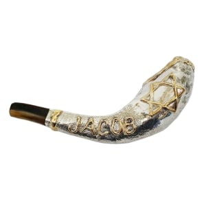 Barsheshet-Ribak Exclusive Customizable Silver-Plated Shofar With Star of David