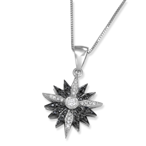 14K White Gold Star of Bethlehem Pendant with White & Black Diamonds