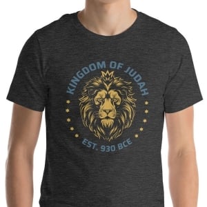 Kingdom of Judah Est 930 BCE - Men's T-Shirt