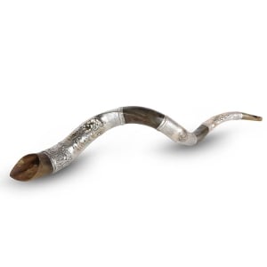 Silver-Plated Lion of Judah Yemenite Kudu Shofar (Choice of Sizes) 