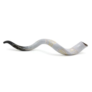 Hand Painted Kudu Shofar Horn with David’s Harp in Black and White 