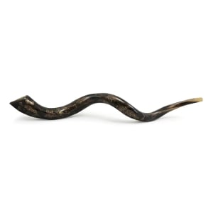 Hand Painted Kudu Shofar Horn with Grape Vine Design 