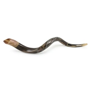 Hand Painted Kudu Shofar Horn with Grafted-In Messianic Seal 