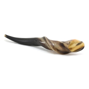 Barsheshet-Ribak Large Traditional Eland’s Horn Shofar - Polished