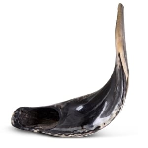 Kosher 24"-26" Classical Polished Ram's Horn Shofar