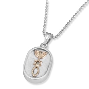 Rafael Sterling Silver, 9k Gold Framed Oval Embossed Grafted-In Messianic Necklace