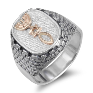 Rafael Sterling Silver, 9k Gold Western Wall Grafted-In Messianic Signet Ring 