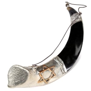 Barsheshet-Ribak Silver Plated Star of David and Menorah Anointing Oil Holder Kudu Horn