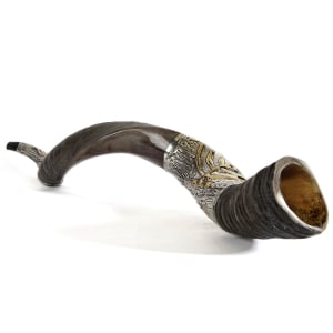 Barsheshet-Ribak Silver Yemenite Kudu Shofar with Menorah and Olive Branch Decoration