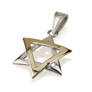 Ben Jewelry Two-Tone 14K Gold Domed Star of David Pendant