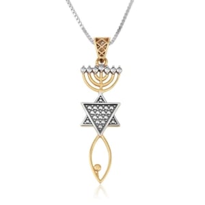 Marina Jewelry 925 Sterling Silver and Gold Plated Grafted-In Messianic Necklace