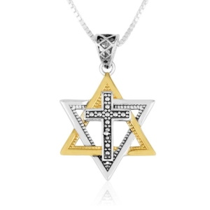 Marina Jewelry 925 Sterling Silver Cross Necklace with Gold Plated Star of David