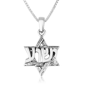 Marina Jewelry 925 Sterling Silver Star of David and Yeshua Necklace