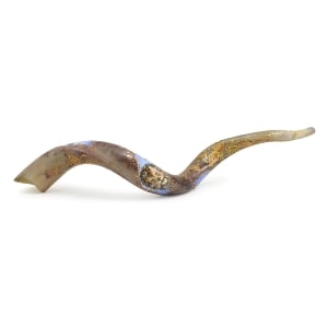 Hand Painted Kudu Shofar Horn with Ox, Lion, and Eagle 