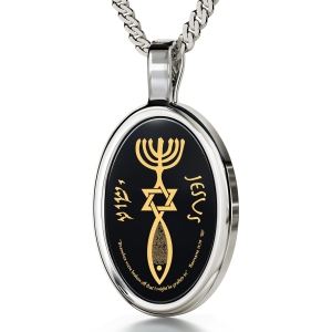 Nano Sterling Silver and Onyx Framed Oval Grafted-In Necklace with 24K Gold Micro-Inscription