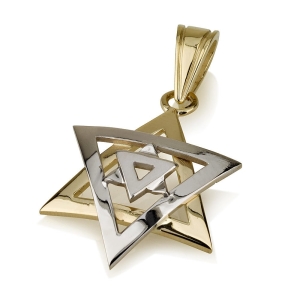 Ben Jewelry 14K Yellow and White Gold Domed Star of David Pendant