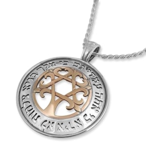 Sterling Silver and 9k Gold Star of David Tree of Life Circle Necklace with Blessing