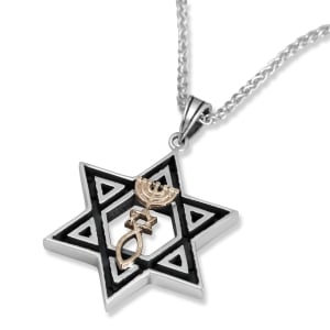 Sterling Silver & 9K Gold Messianic Star of David Grafted-In Necklace