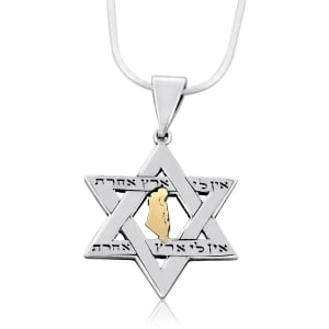 Sterling Silver and Gold Star of David Necklace with Holy Land Inscription