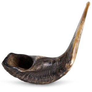 Kosher 24" - 26" Classical Ram's Horn Natural Shofar