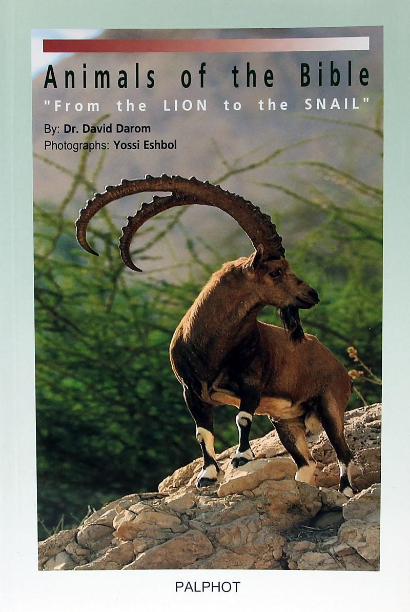 Animals of the Bible - By Dr. David Darom (Paperback) - 1