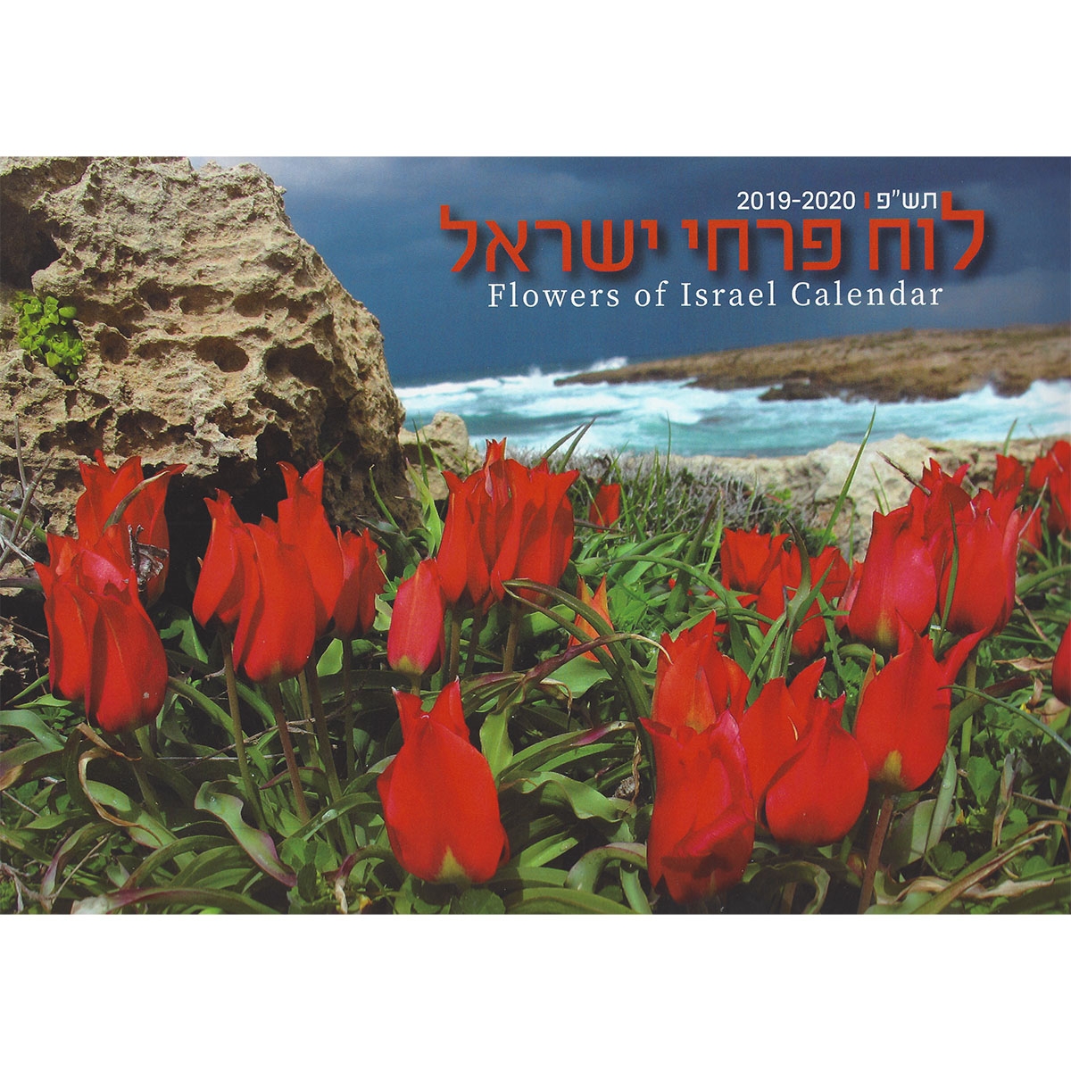 Full-Size Flowers of Israel Wall Calendar 2019-20 - 1