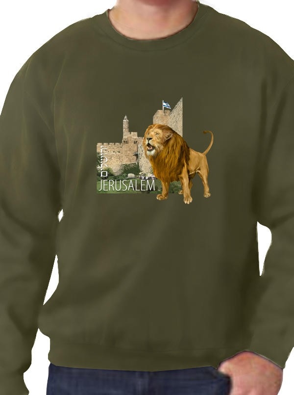 Jerusalem Lion Sweatshirt (Variety of Colors) - 1