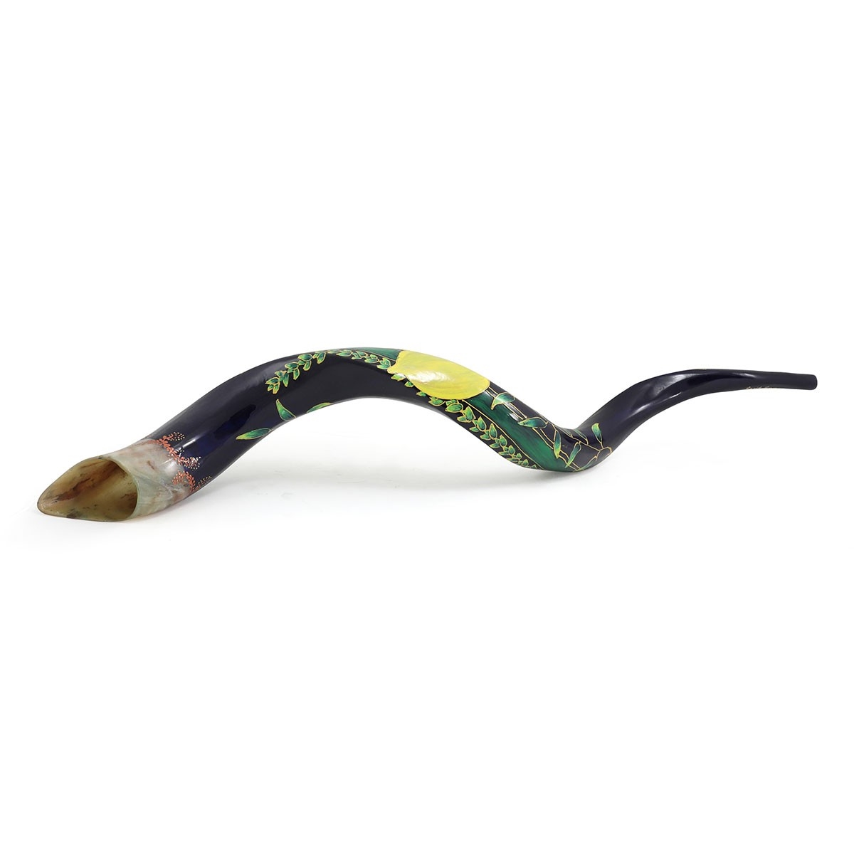 Hand Painted Kudu Shofar Horn with Four Species Design - 1