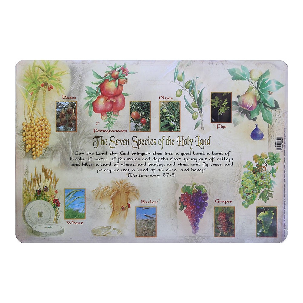 7 Species and Flowers of the Holy Land Placemat - 1
