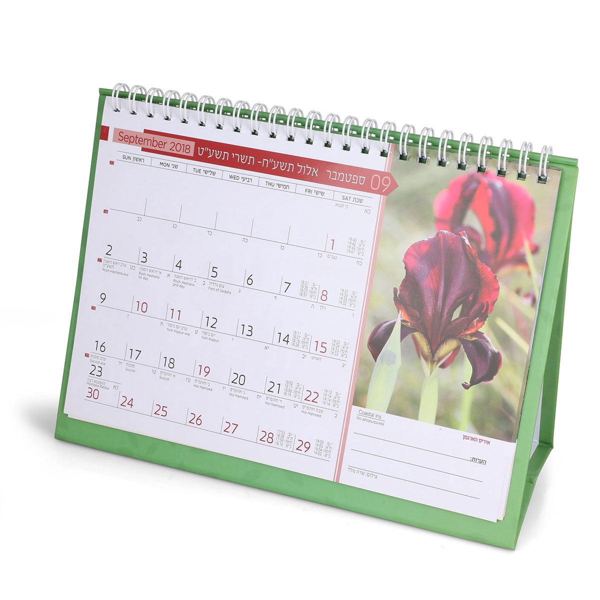Native Flowers of Israel Desktop Picture Calendar 2019-20 - 1