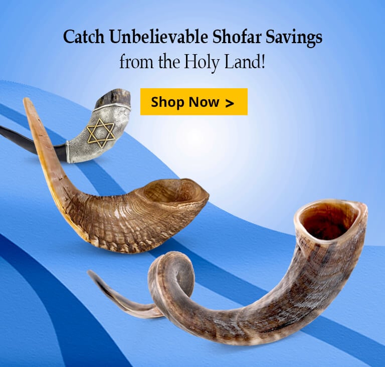 Shofars Sale